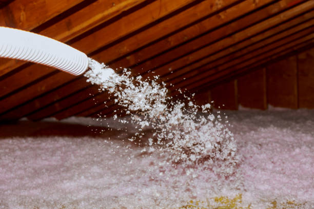 Best Insulation Maintenance and Repair in Munising, MI
