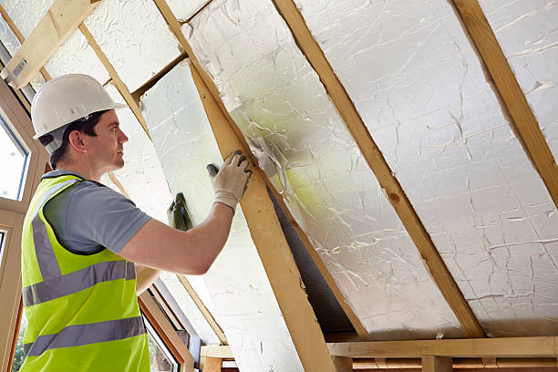 Best Geographic-Specific Insulation Services in Munising, MI